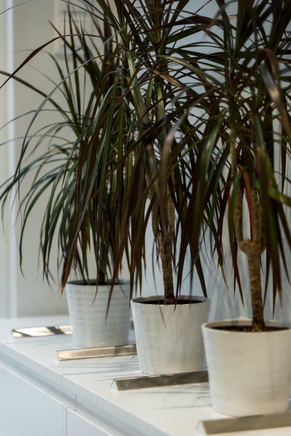 Central Cozy Studio With A Secret Garden เอเธนส์ ภายนอก รูปภาพ